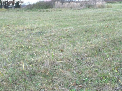 Kalinówka dobry dojazd do c. Lublina, 23ar