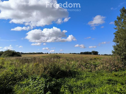 Mazury- Srokowo - Kompleks 7działek