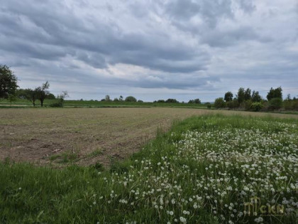 Działka rolno-budowlana Kraków Nowa Huta, Nowa Huta