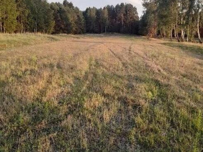 Działka Poręby Kupieńskie