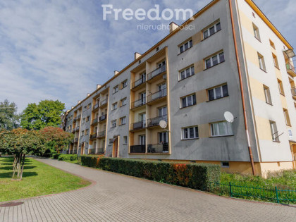 Przytulne mieszkanie z balkonem!