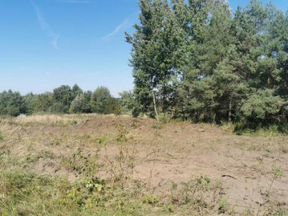 Sprzedam działki budowlane Bukowina Sycowska