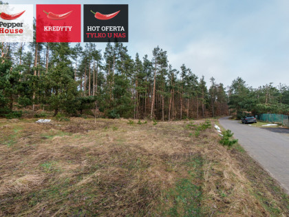 Działka Koleczkowo ul. Leśna