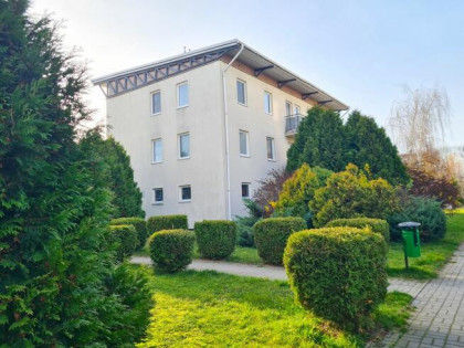 Mieszkanie Tulce gm. Kleszczewo, Krokusowa