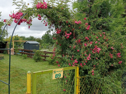 Działka rod Kasprzaka