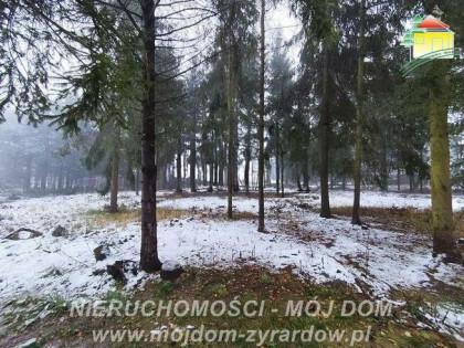 Działka budowlana Kuranów gm. Radziejowice