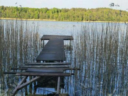 Działka z linią brzegową jeziora | Gołdap