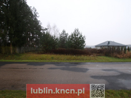 Działka rolno-budowlana 1,52 ha Dąbrowa gm. Ludwin