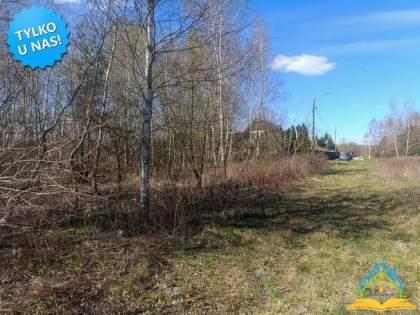 Działka budowlana Koryta gm. Prażmów