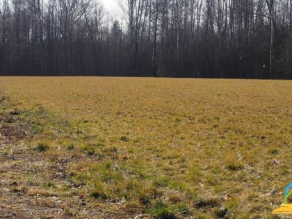 Działka budowlana Werdun gm. Tarczyn, Górna Droga