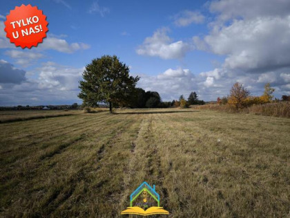 Działka rolna Nowe Wągrodno  gm. Prażmów