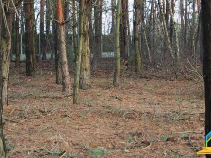 Działka budowlana Przypki gm. Tarczyn