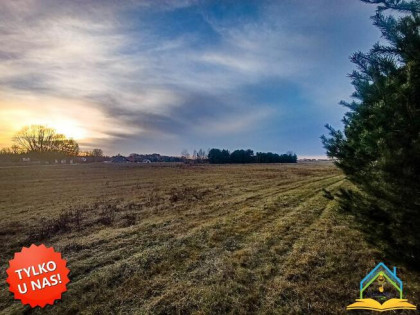 Działka budowlana Nowe Wągrodno gm. Prażmów