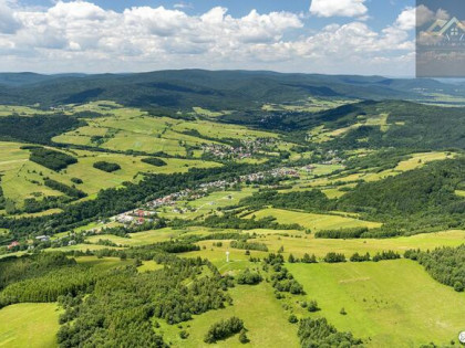 Działka leśna Łysa Góra gm. Nowy Żmigród