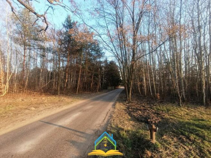 Działka inwestycyjna Kotorydz gm. Tarczyn