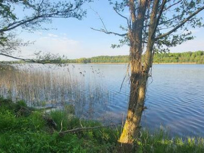 Działka nad jeziorem | z długą własną linią brzegową
