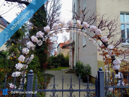 Mieszkanie Wrzeszcz odświeżoneobok lasu Politechniki FILM bezpośrednio