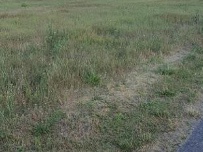 Działka budowlana o powierzchni 1452m2, gm. Szczytniki