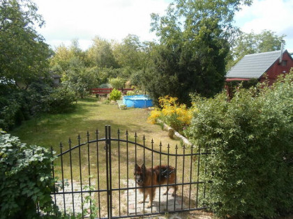 SPRZEDAM DZIAŁKĘ W ROD ,,WŁÓKNIARZ,,