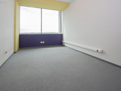 Lokal Kraków Krowodrza ul. Królewska