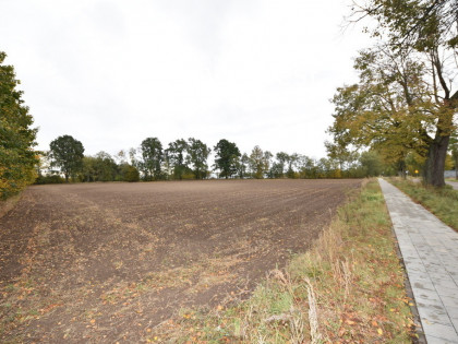 Działka budowlana pod usługi/produkcję/magazyny