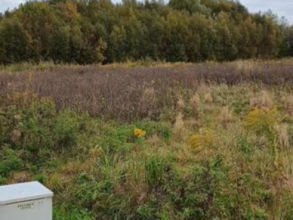 DZIAŁKA NA SPRZEDAŻ ALEKSNDRÓW ŁÓDZKI