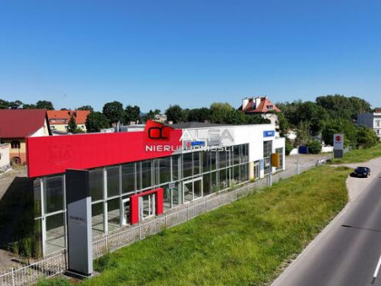 Lokal użytkowy Świdnica