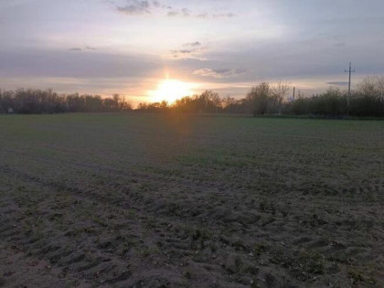 Działka rolna Kraków gm. Kraków-Podgórze Rybitwy, Christo Botewa