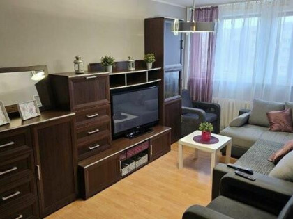 mieszkanie do wynajęcia idealne dla pary