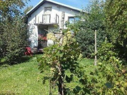 Sprzedam dom na działce 7.62 ar.