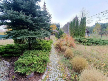 Działka budowlana Bolesławów gm. Wiązowna,