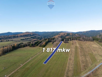 Twój kawałek natury w Ostrowsku