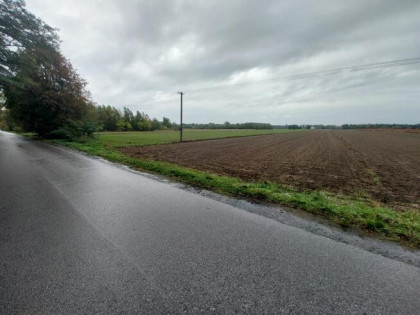 Działka budowlana Budy Wolskie gm. Puszcza Mariańska,