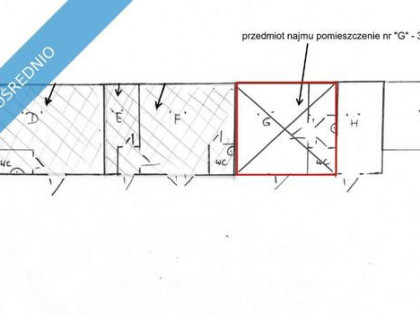 Wynajmę powierzchnię magazynową Al. Grunwaldzka 205/209