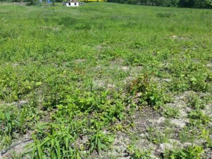 Działka usługowa Kraków gm. Kraków-Krowodrza Krowodrza,