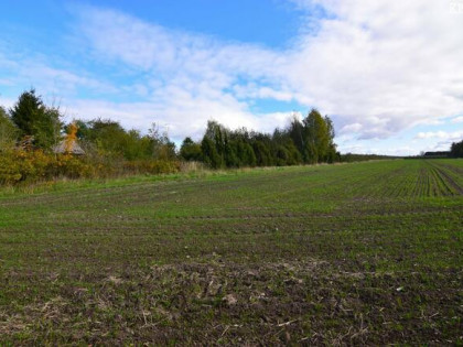 Działka budowlana Kozłówka gm. Kamionka
