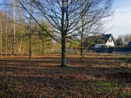 Działka budowlana 1004m2, Grądy k. Żyrardowa