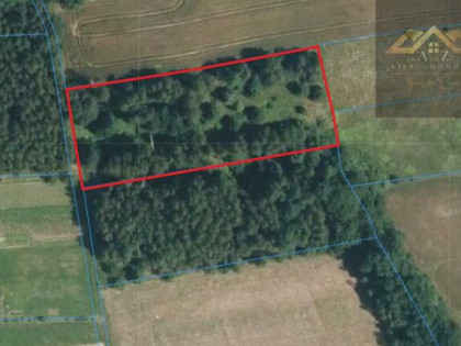 Działka rolno-budowlana Olszowa gm. Zakliczyn