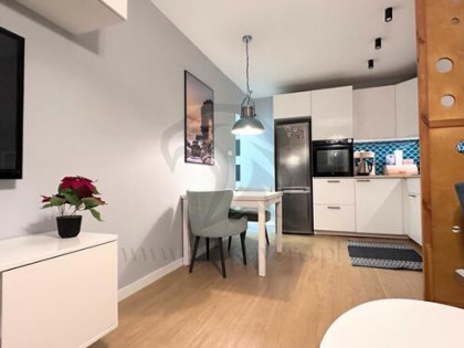 Mieszkanie, w którym kot jest prezesem