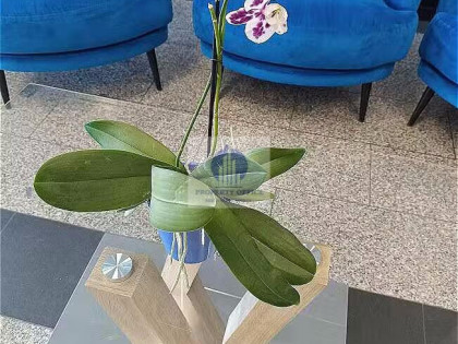 Lokal Warszawa Targówek ul. Toruńska