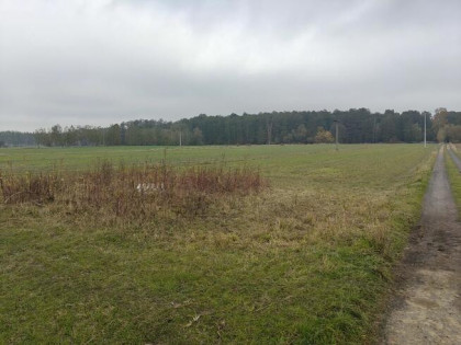 Syndyk sprzeda - Kobierne