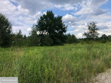 Działka budowlana Warszawa gm. Wawer Wawer, Mrówcza