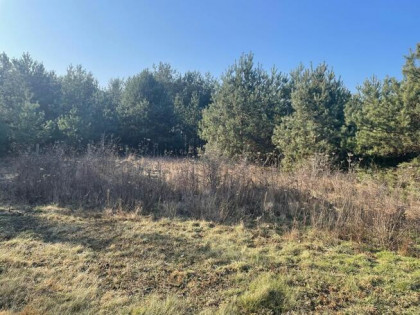 Działka budowlana Bolesławowo gm. Serock, Jastrzębia