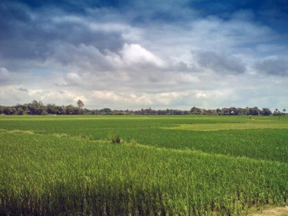 Działka budowlana 1000m2, Górki