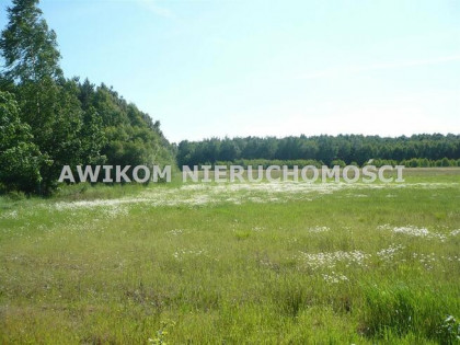 Działka siedliskowa Joachimów-Mogiły gm. Bolimów