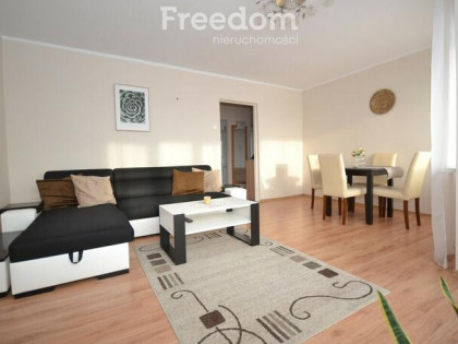 Klimatyczne mieszkanie nieopodal centrum