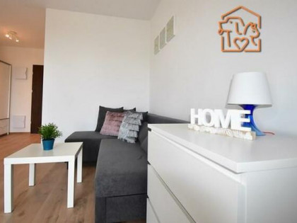 Kawalerka pet-friendly z mp- Hokejowa 6