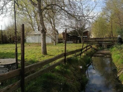 Działka rekreacyjna ROD nad strumykiem