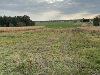 Grunt to wartość...68/4