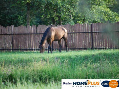 Działka ze stawem w spokojnej okolicy, 4995 m²